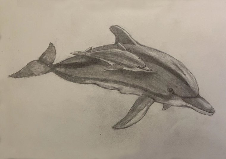 portfolio item 2：素描肖像 | Portrait Drawing